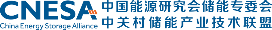 Logo of CNESA